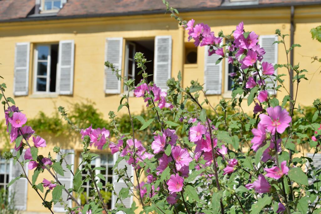 Charmilles Des Cordeliers Bed & Breakfast Paris Ngoại thất bức ảnh