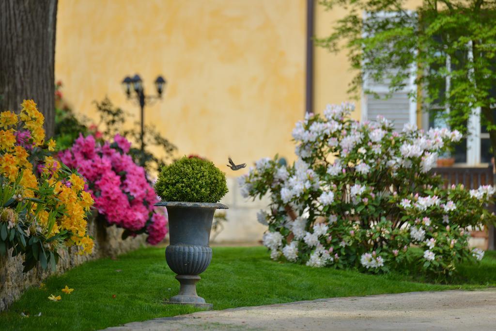 Charmilles Des Cordeliers Bed & Breakfast Paris Ngoại thất bức ảnh